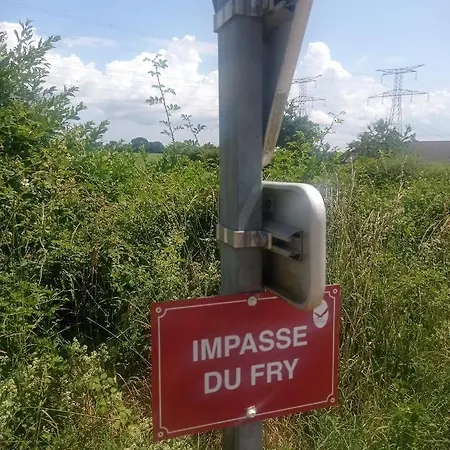 Viefacile *